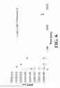 Fig. 07 - Methods of using select Schiff base compounds for chemical agent detoxification