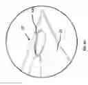 Fig. 12 - Isometric-exercise towel and methods of isometric exercise