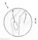 Fig. 41 - Isometric-exercise towel and methods of isometric exercise