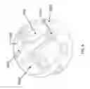 Fig. 06 - SENSING SPORT BALL