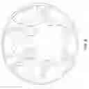 Fig. 09 - SENSING SPORT BALL