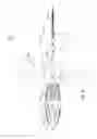 Fig. 22 - Electric motor and propeller driven toy rocket