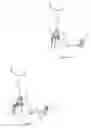 Fig. 07 - Dry land ski