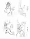 Fig. 08 - CRAFT KIT AND INSTRUCTIONS THEREFOR