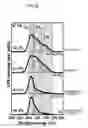 Fig. 20 - Method of forming reverse osmosis membrane