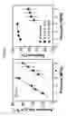 Fig. 35 - Method of forming reverse osmosis membrane