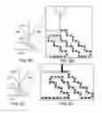Fig. 09 - Device and method for pressure-driven plug transport and reaction