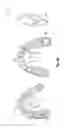 Fig. 08 - Mold with separable features