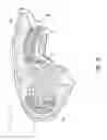 Fig. 28 - Footwear upper components having contoured foam regions and methods of forming such components