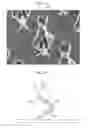 Fig. 20 - Method for producing gelatin structure, and gelatin structure production system