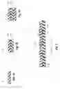 Fig. 02 - Films and bags with visually distinct regions and methods of making the same