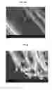 Fig. 06 - Composite nanofiber sheet