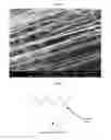 Fig. 08 - Composite nanofiber sheet