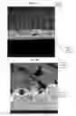 Fig. 09 - Composite nanofiber sheet