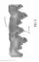 Fig. 06 - Cotendered nonwoven/pulp fabric and method for making the same