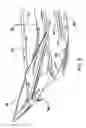 Fig. 07 - Amphibious transport system