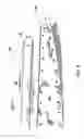 Fig. 09 - Amphibious transport system