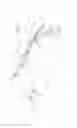 Fig. 02 - Sliding soft top