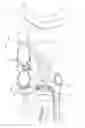 Fig. 04 - AERODYNAMIC BOTTLE HOLDER SYSTEM