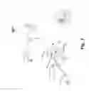 Fig. 07 - BiKE