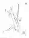 Fig. 02 - Aircraft cabin and partition assembly therefor