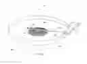 Fig. 06 - Circular mass accelerator