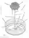 Fig. 02 - Container closure