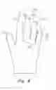 Fig. 04 - Readily manually accessible disposable gloves