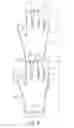 Fig. 05 - Readily manually accessible disposable gloves
