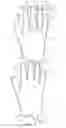 Fig. 07 - Readily manually accessible disposable gloves