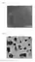 Fig. 02 - POROUS NANO STRUCTURE USEFUL AS ENERGY STORAGE MATERIAL, AND METHOD OF MANUFACTURING SAME