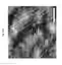 Fig. 13 - Methods of preparing single-walled carbon nanotube networks