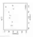 Fig. 33 - Methods of preparing single-walled carbon nanotube networks