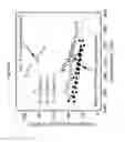 Fig. 44 - Methods of preparing single-walled carbon nanotube networks