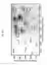 Fig. 55 - Methods of preparing single-walled carbon nanotube networks