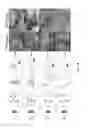 Fig. 05 - Method for synthesizing graphene from encapsulated particles
