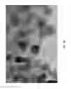 Fig. 09 - Method for synthesizing graphene from encapsulated particles