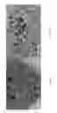 Fig. 16 - Method for synthesizing graphene from encapsulated particles