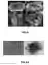Fig. 06 - Method for the preparation of synthetic crystalline zeolite materials with enhanced pore volume
