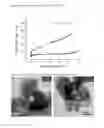 Fig. 07 - Method for Preparing a Mesoporous Material, Material Obtained Thereof and Use