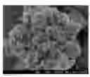 Fig. 01 - Synthesis of MFI framework type molecular sieves
