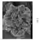 Fig. 03 - Synthesis of MFI framework type molecular sieves