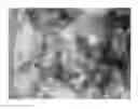 Fig. 01 - UV-ABSORBING NANOCRYSTAL CONTAINING COMPOSITE
