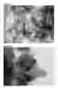 Fig. 02 - UV-ABSORBING NANOCRYSTAL CONTAINING COMPOSITE