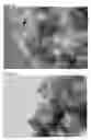 Fig. 03 - UV-ABSORBING NANOCRYSTAL CONTAINING COMPOSITE