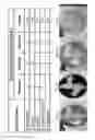Fig. 07 - MICROBIAL SOIL ENHANCEMENTS