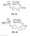 Fig. 02 - COMPOUNDS AND METHODS FOR TREATING BACTERIAL INFECTIONS