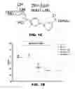 Fig. 03 - COMPOUNDS AND METHODS FOR TREATING BACTERIAL INFECTIONS