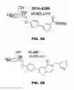 Fig. 04 - COMPOUNDS AND METHODS FOR TREATING BACTERIAL INFECTIONS