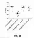 Fig. 06 - COMPOUNDS AND METHODS FOR TREATING BACTERIAL INFECTIONS